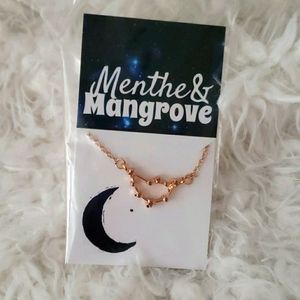 🏷 capricorn constellation necklace